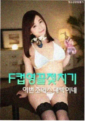 风骚律师